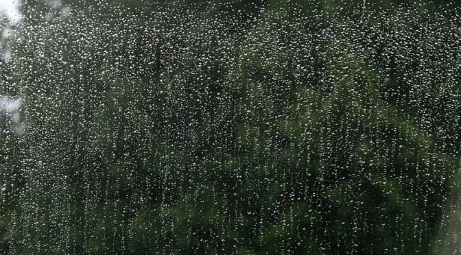 Almost an inch of rain in 24 hours