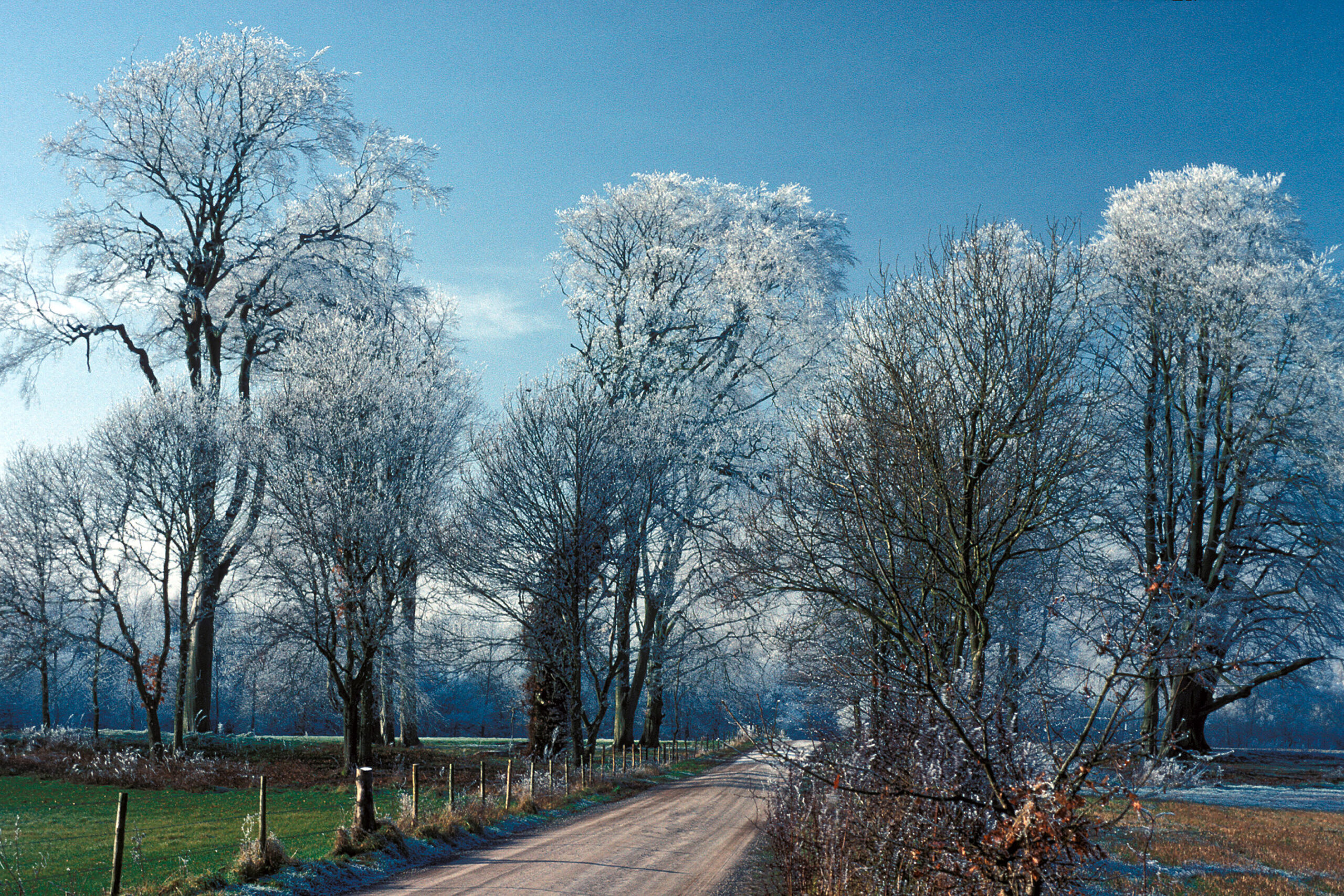 Chill begins to bite!