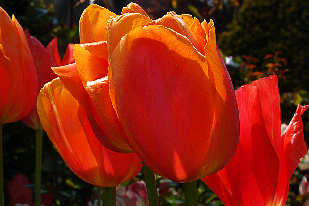 Warmth slowly returning, unquestionably on the up!
