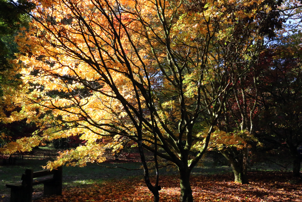 A warm day ahead following a very warm night that produced minimal diurnal temperature range