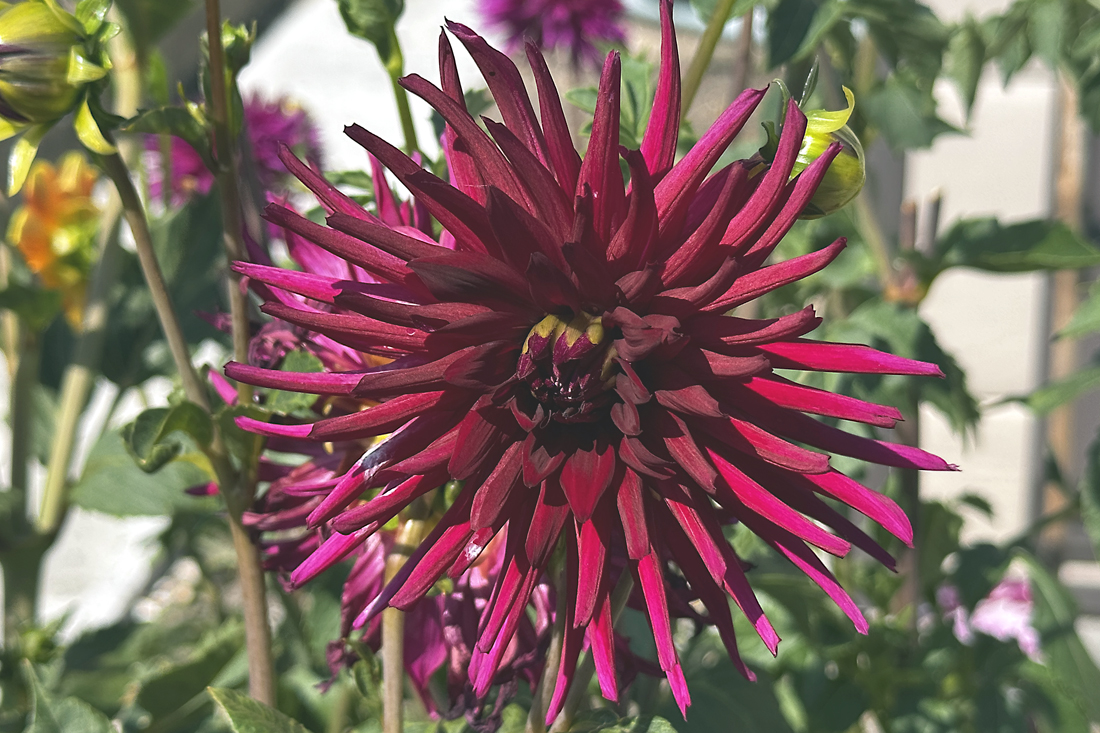 End of the heatwave, but still dry and warm – for the moment!