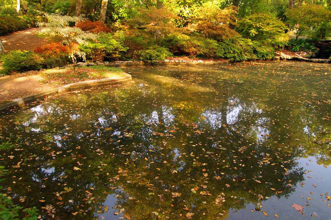 Rain sweeping east today – then a fine weekend